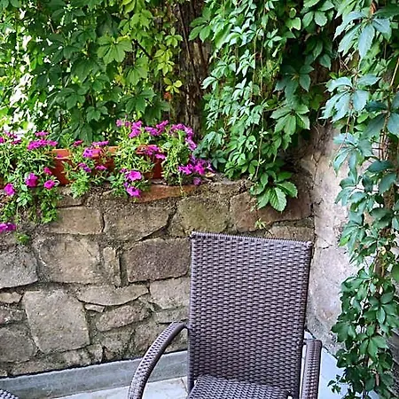 Hotel Petr 4*