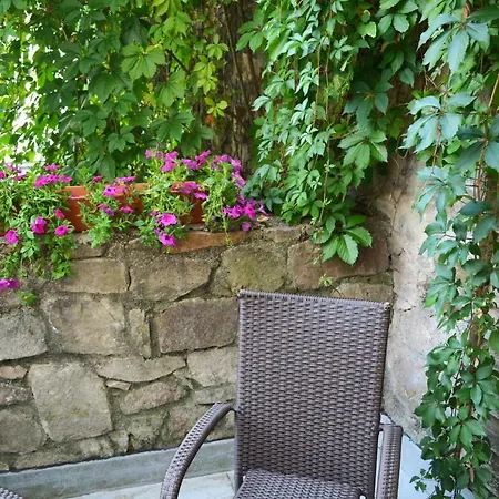 Petr 4* Karlsbad